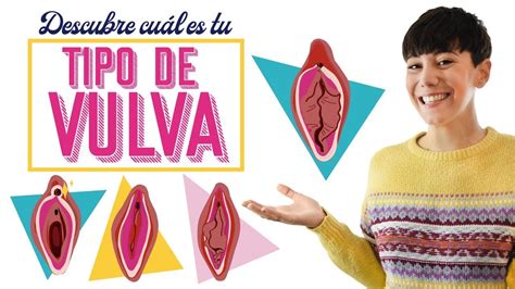 vajinas grandes|Los tipos de vulvas que hay y su anatomía